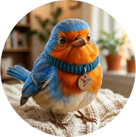 Birds Collections
