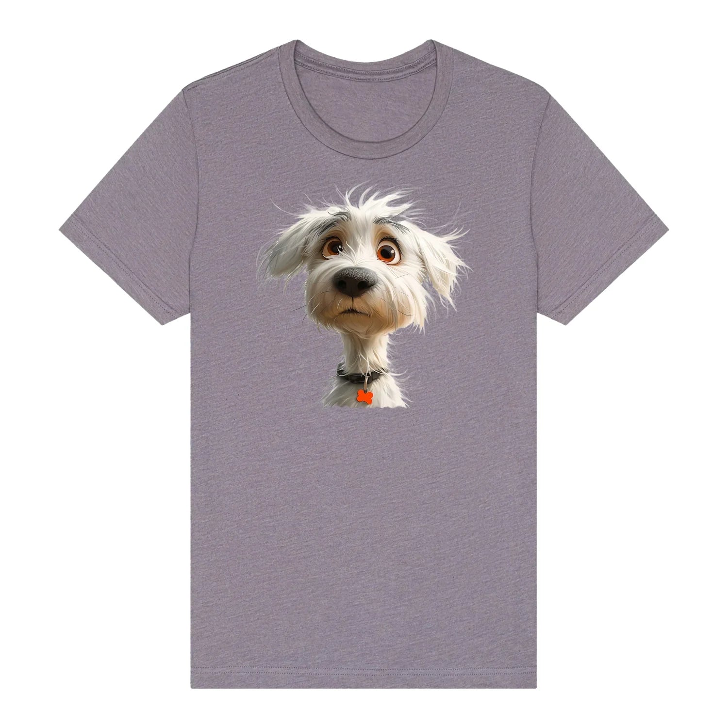 Image de diapositive