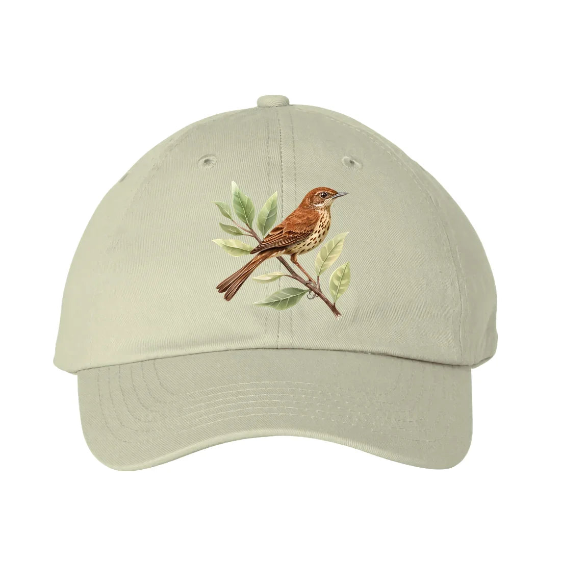 Slide image