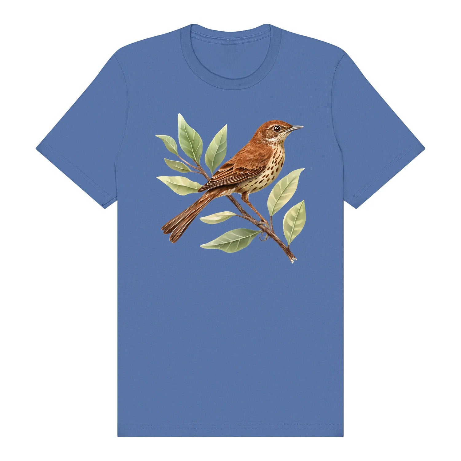 T-shirt common Bird graphic 0005 - Columbia Blue