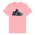 T-shirt Dog graphic 0035 - Pink