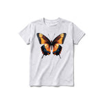 A ash grey short-sleeve crewneck t-shirt for youth featuring a graphic of a arthropods animal on the front.