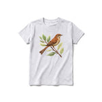 A ash grey short-sleeve crewneck t-shirt for youth featuring a graphic of a bird on the front.