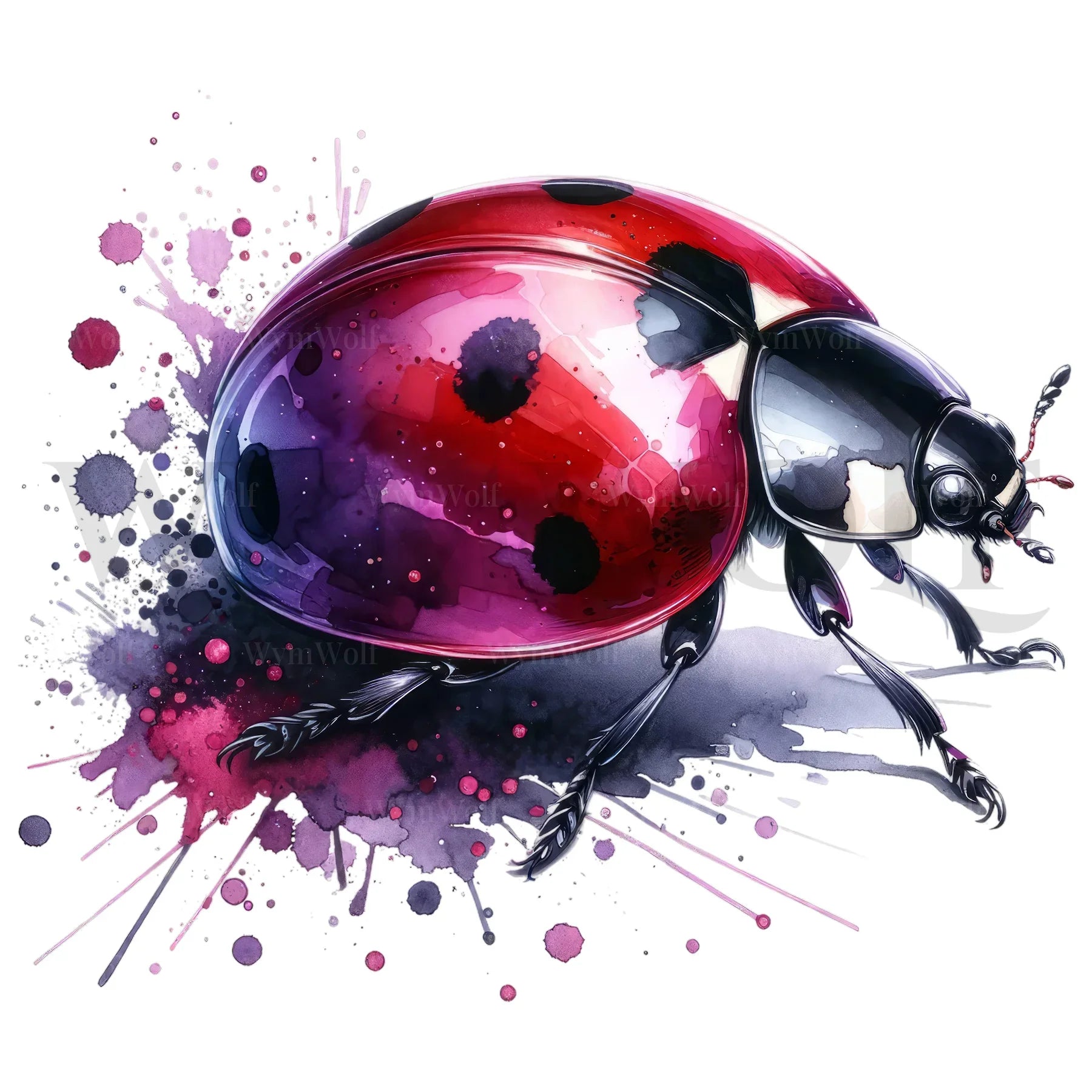 design arthropode no.0006