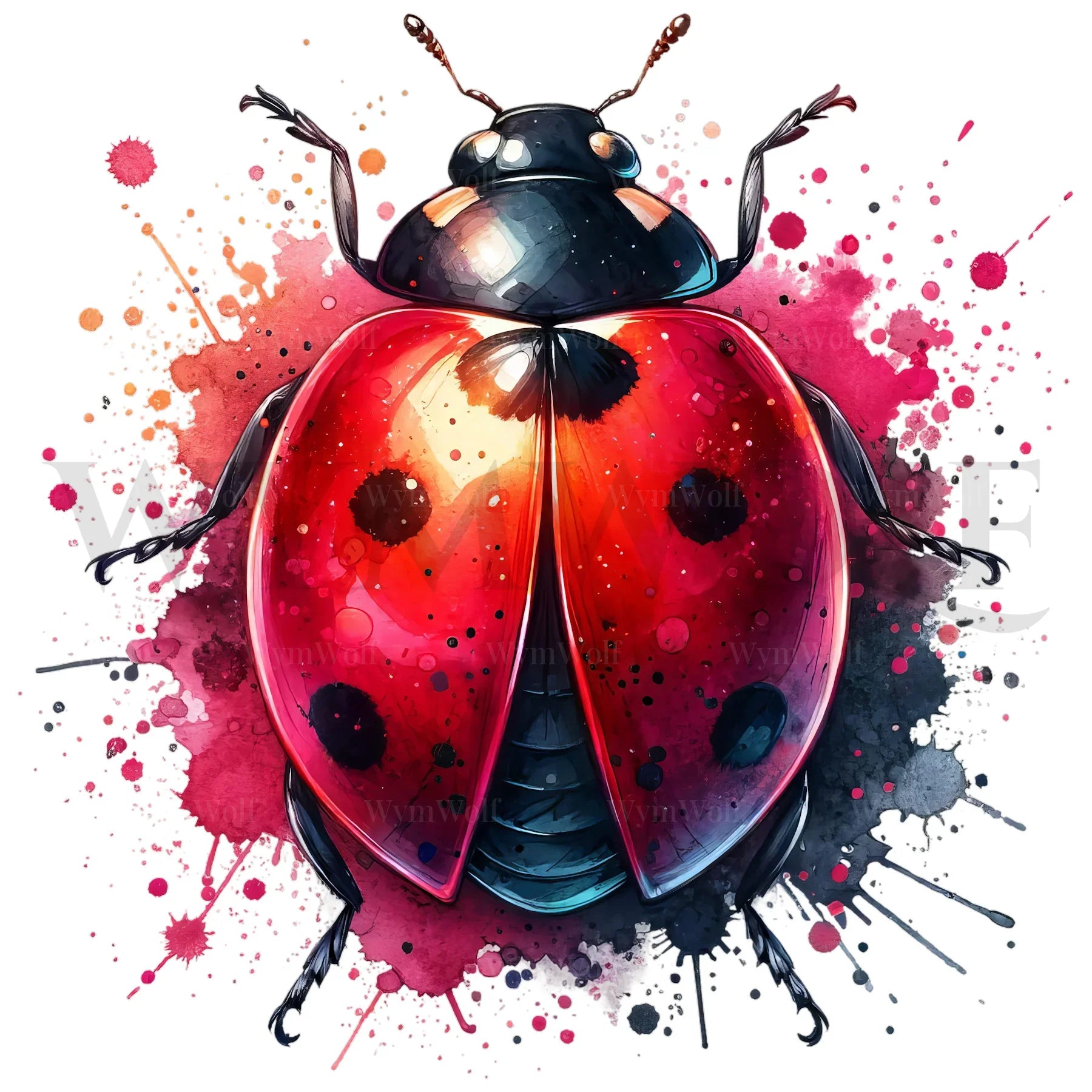 design arthropode no.0007