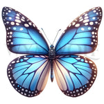 design arthropode no.0024