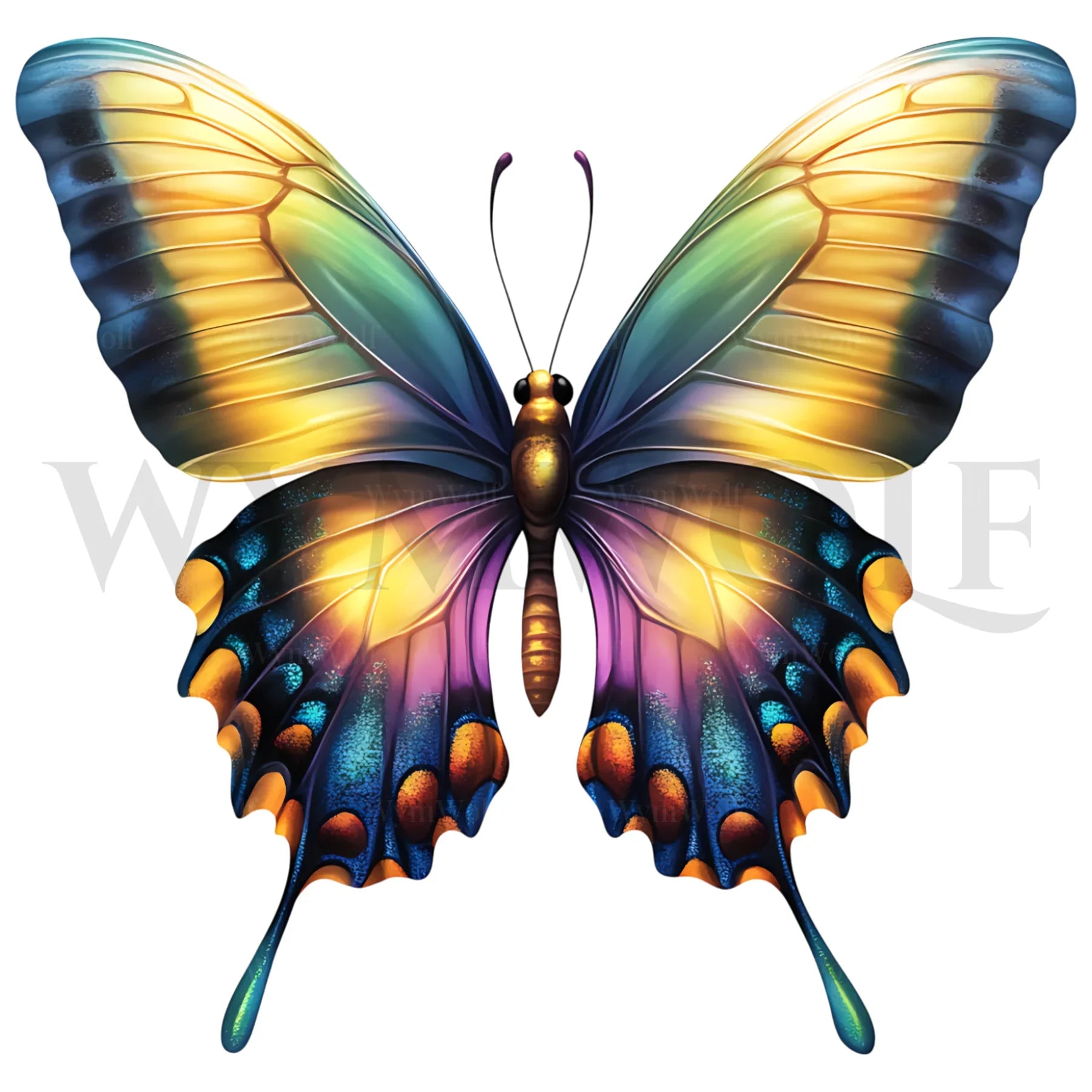 design arthropode no.0028