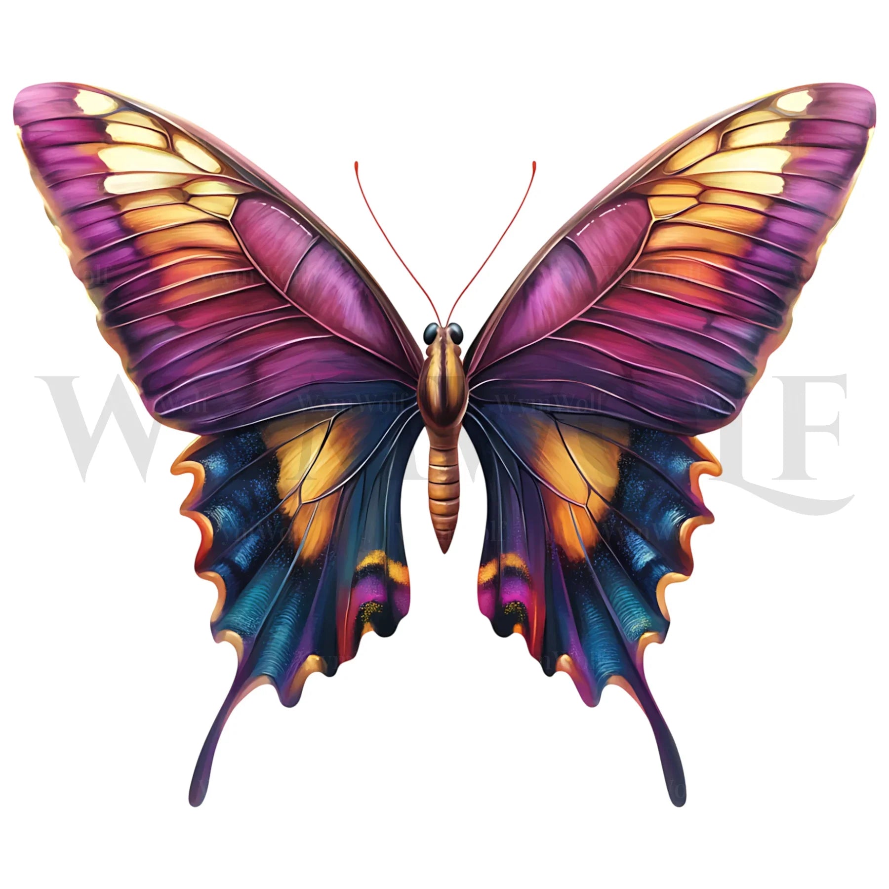 design arthropode no.0030