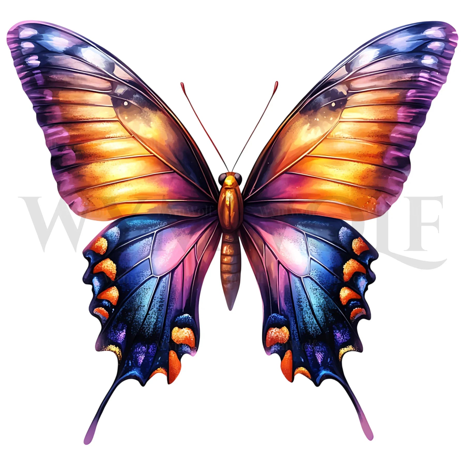 design arthropode no.0031
