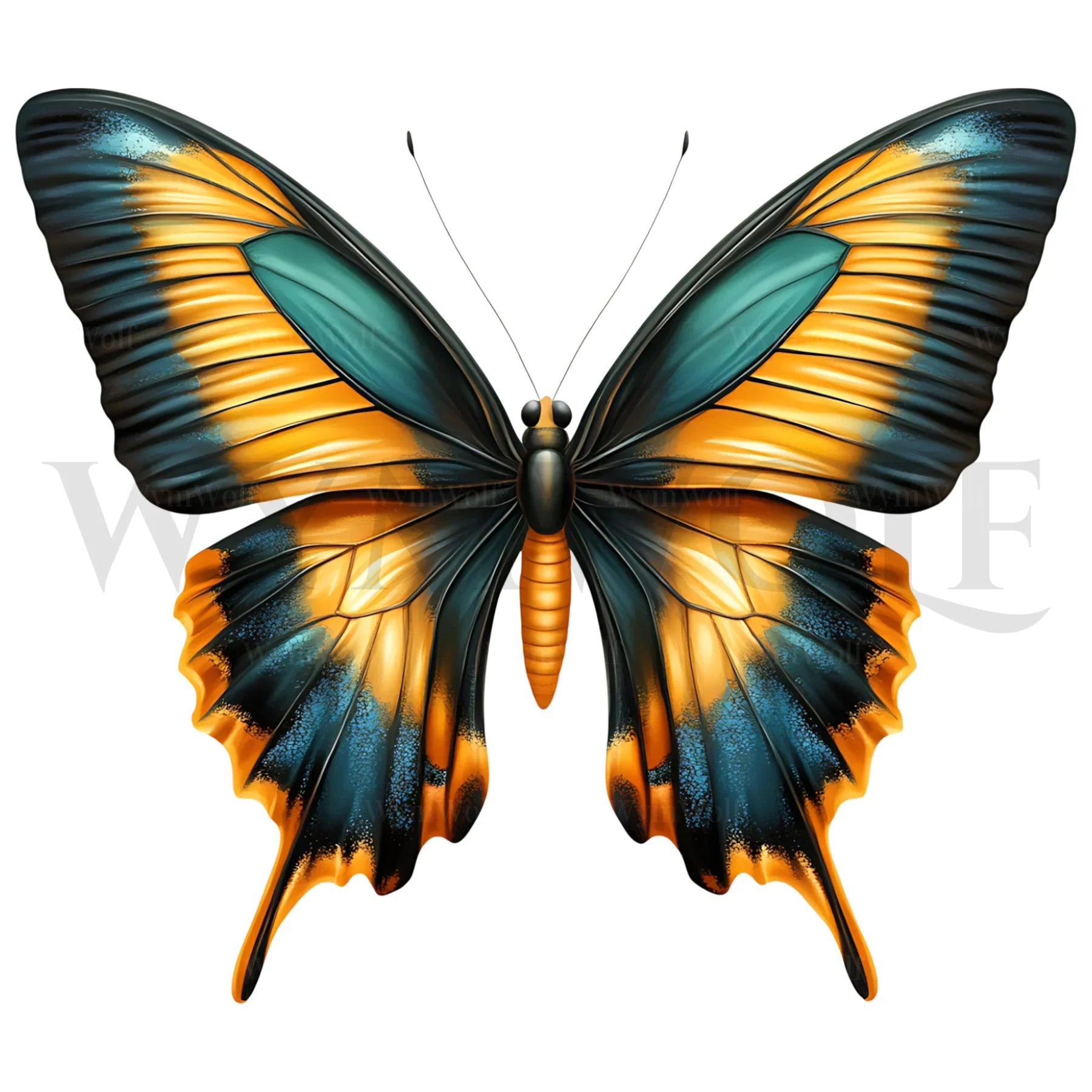 design arthropode no.0033