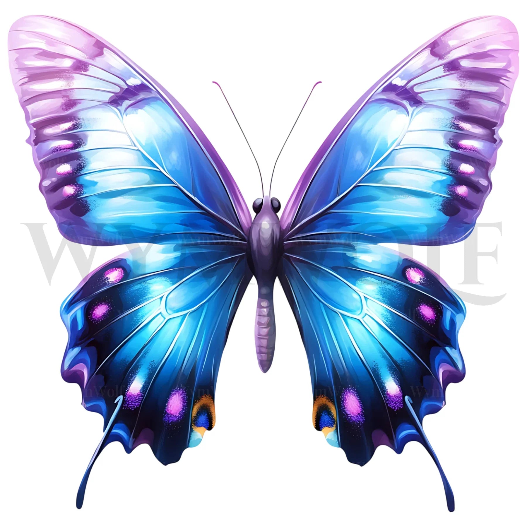 design arthropode no.0036