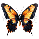 arthropods graphic no.0038