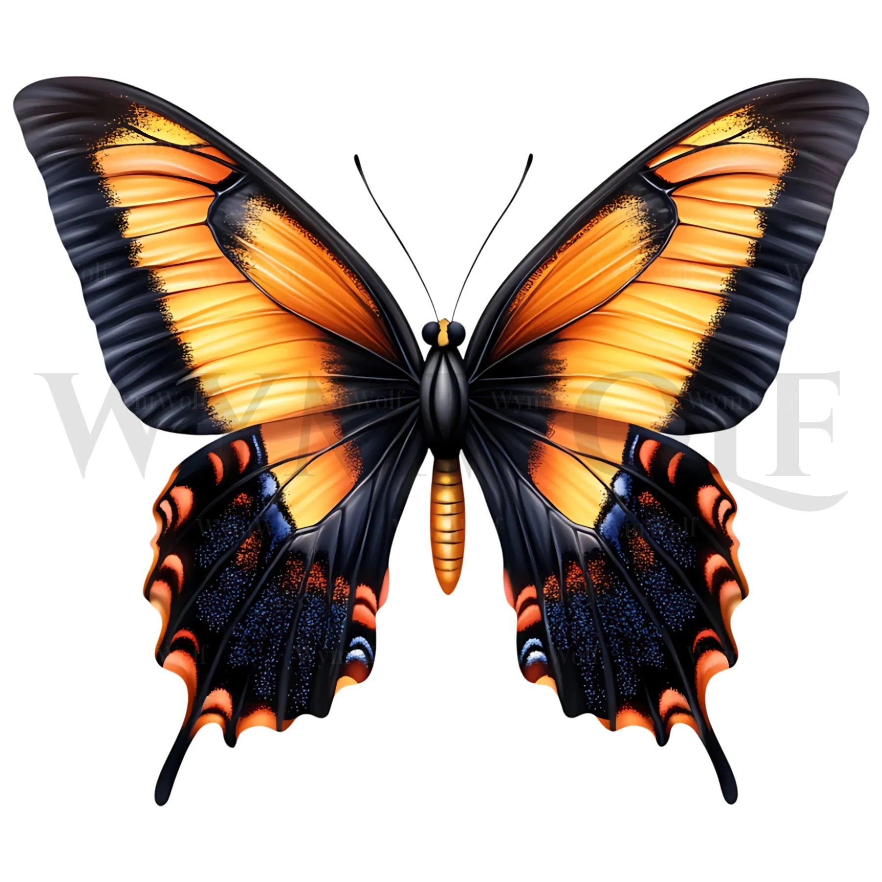 design arthropode no.0038