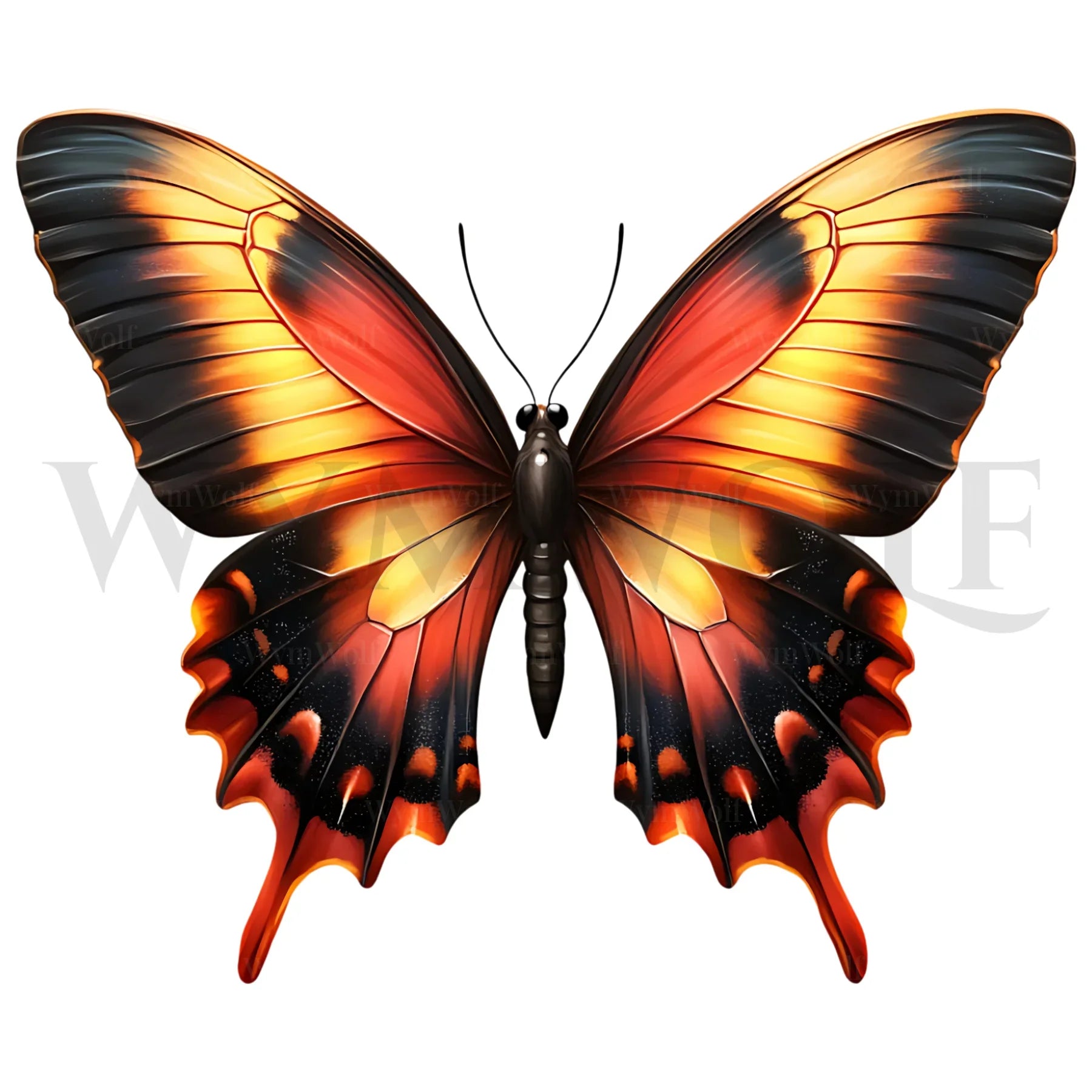 design arthropode no.0040