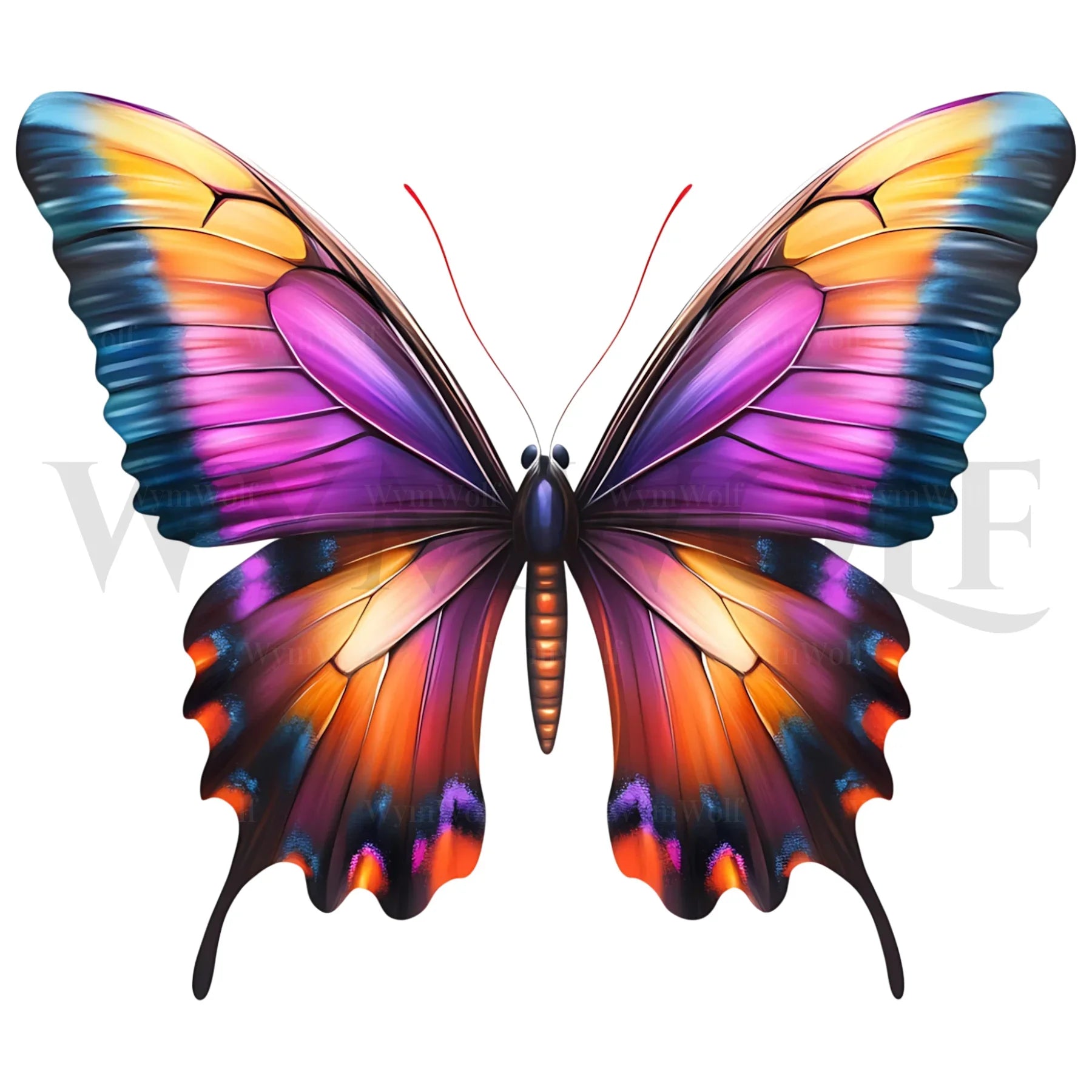 design arthropode no.0041