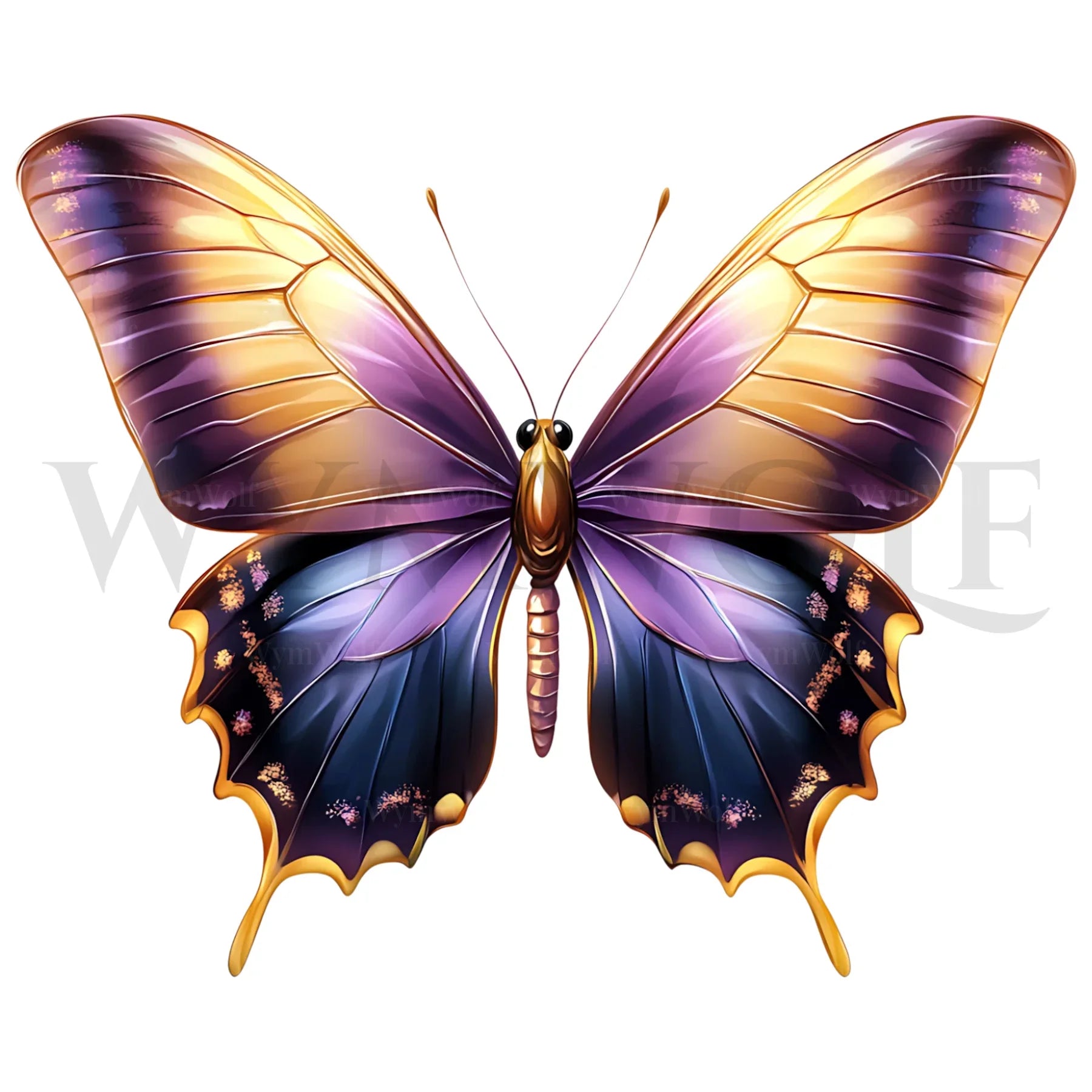 design arthropode no.0042