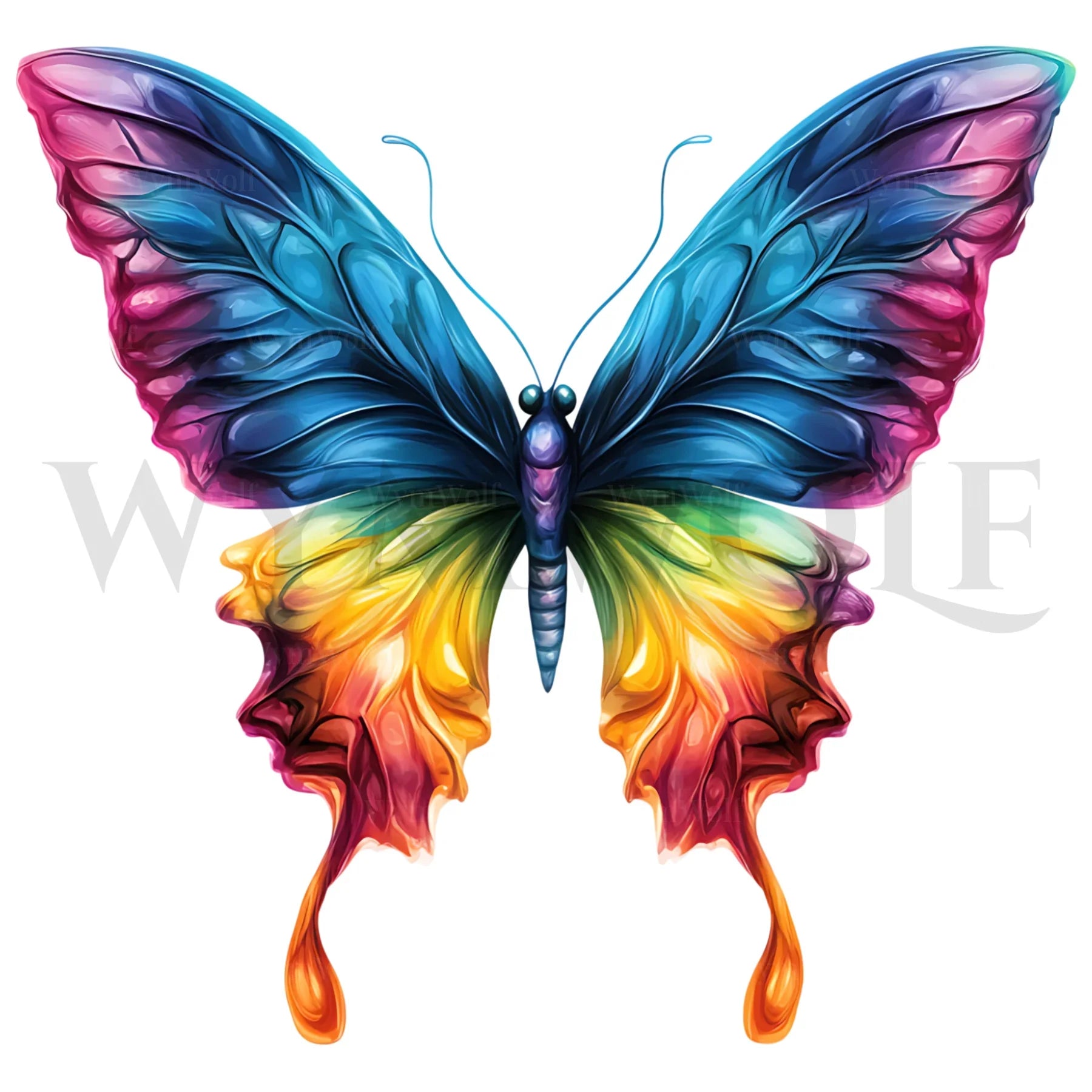 design arthropode no.0043