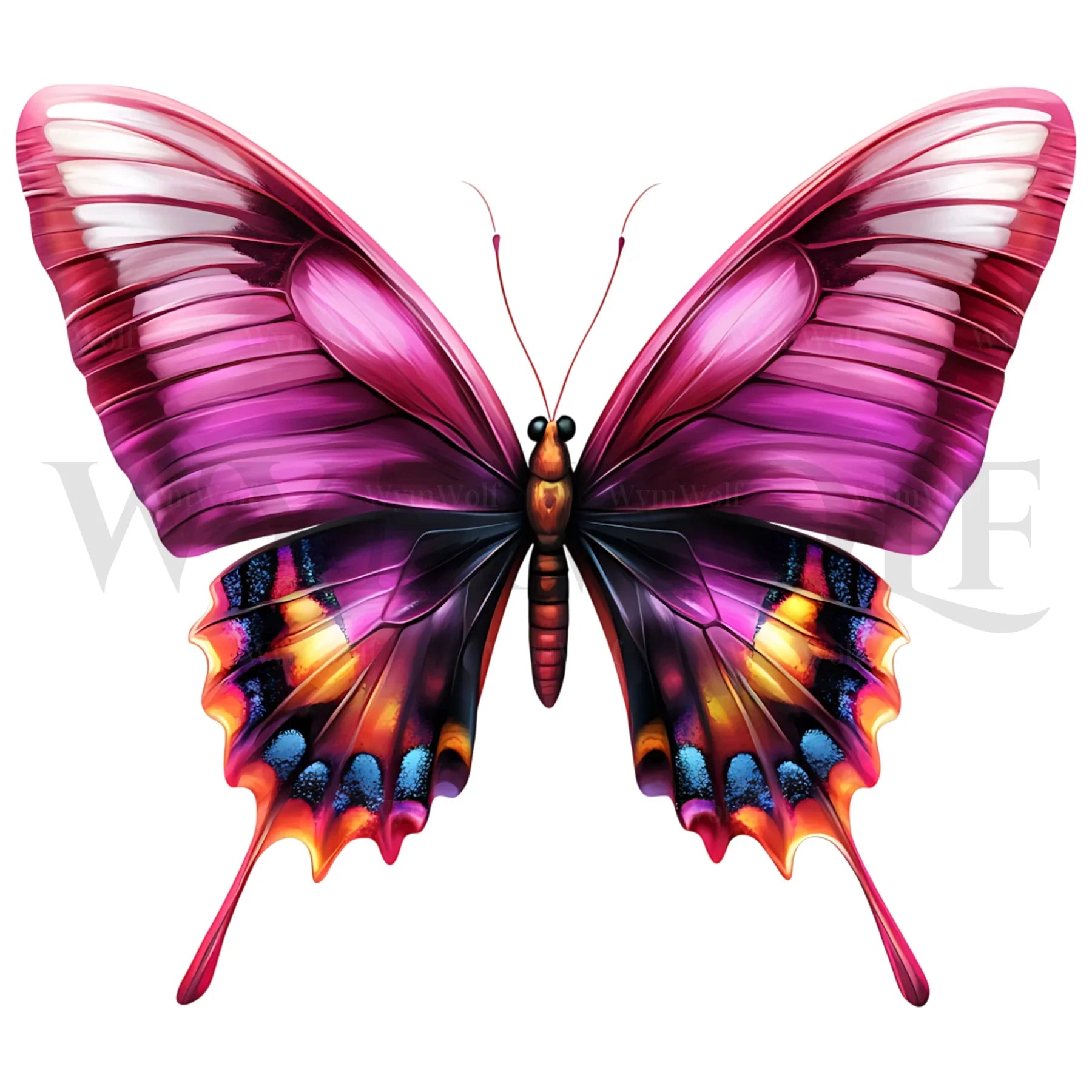 design arthropode no.0047