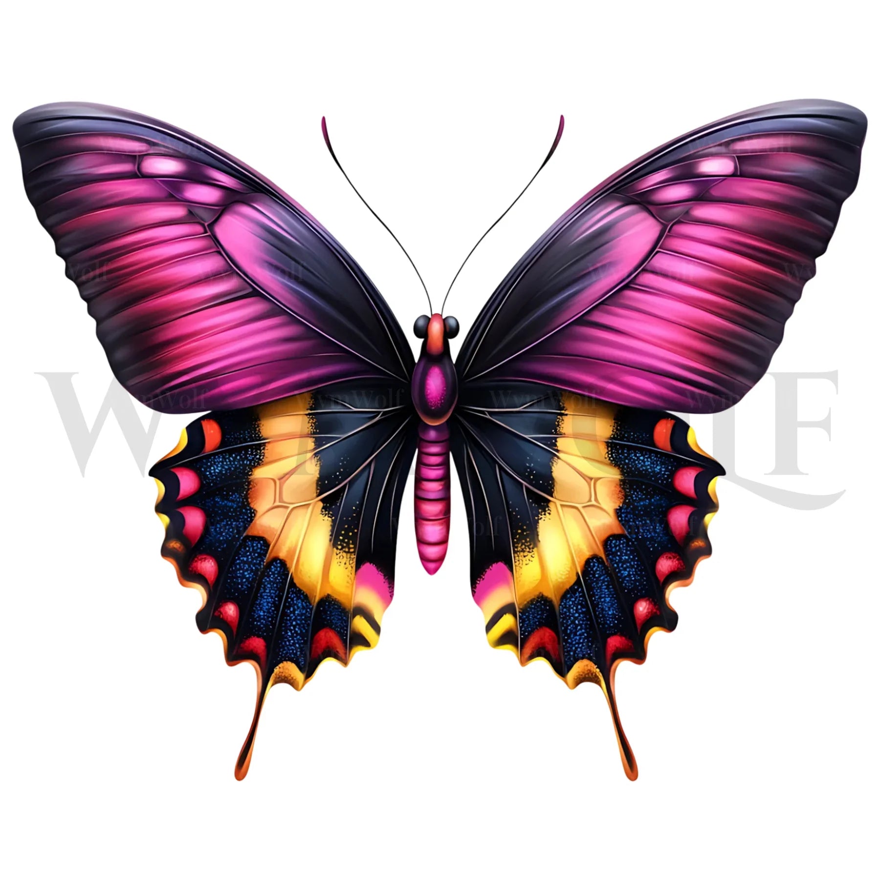 design arthropode no.0048