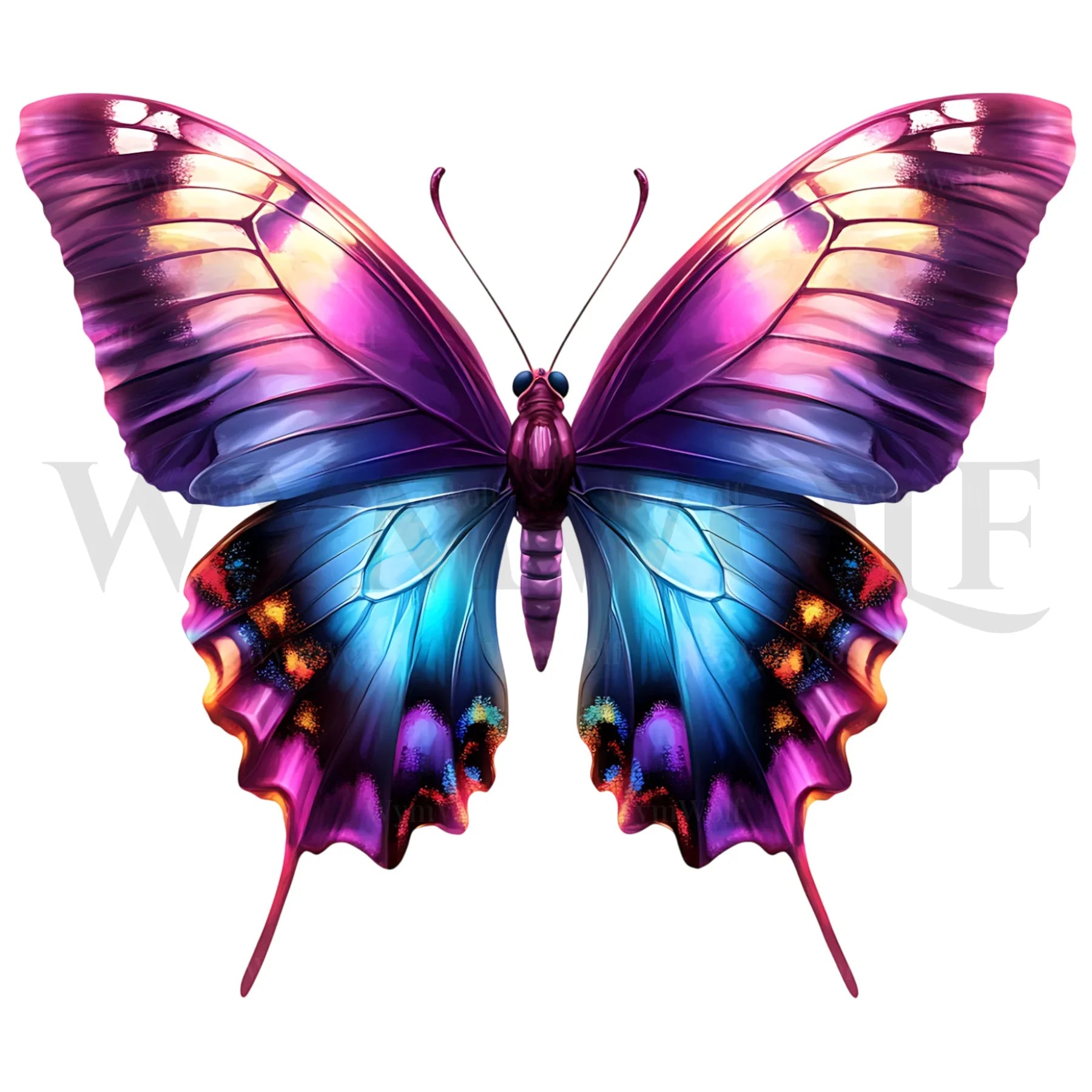 design arthropode no.0049