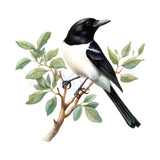WymWolf Common Bird graphic 0003