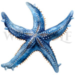 seas-oceans graphic no.0001
