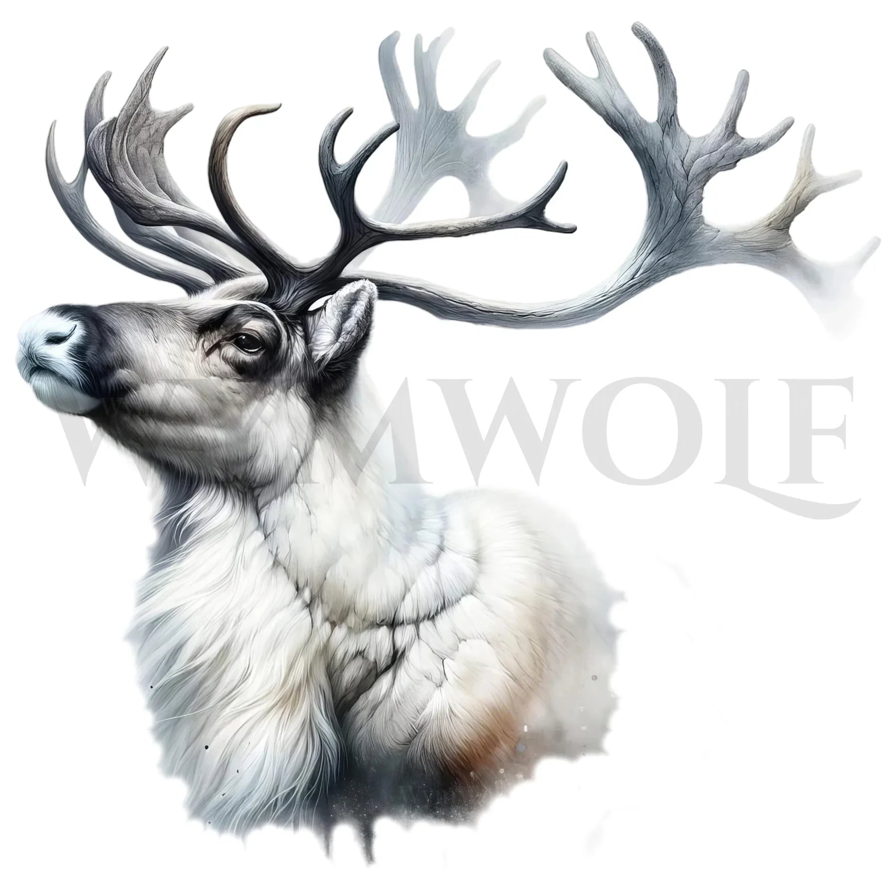 wildlife graphic no.0012